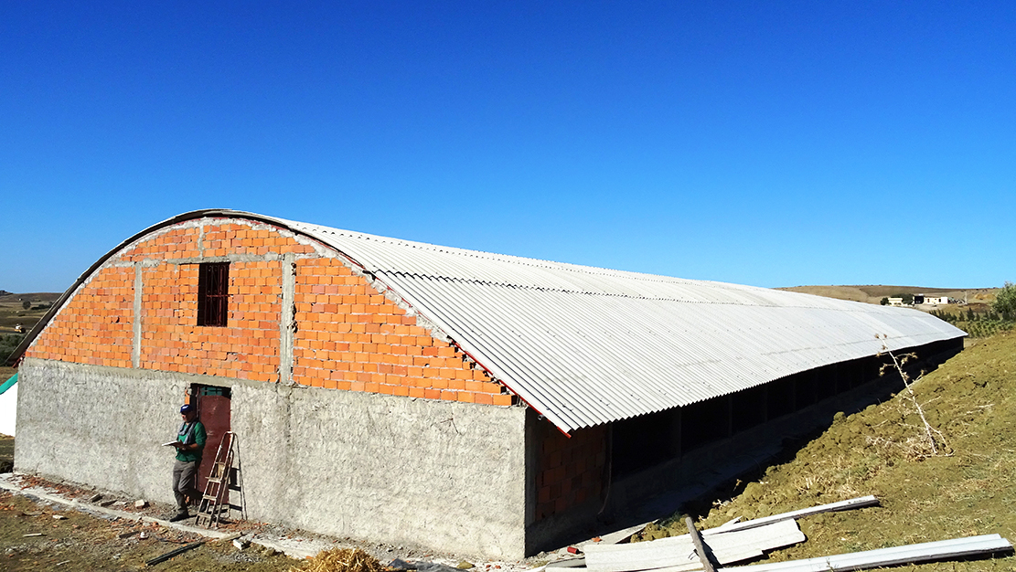 hangar6